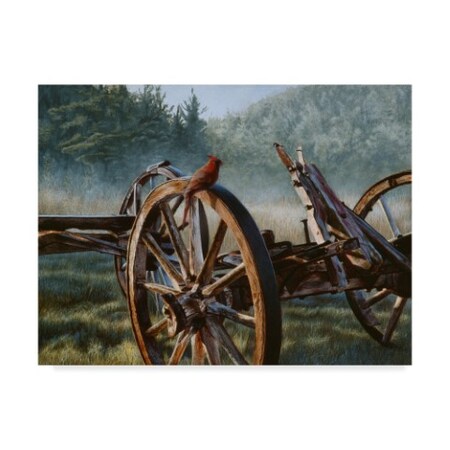 Trademark Fine Art Rusty Frentner 'Birds Eye View' Canvas Art, 18x24 ALI32971-C1824GG